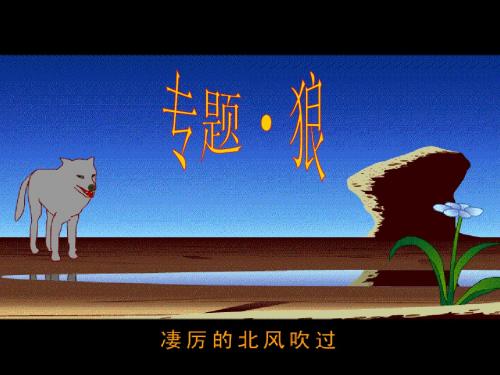 《狼》专题