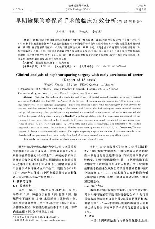 早期输尿管癌保肾手术的临床疗效分析(附15例报告)