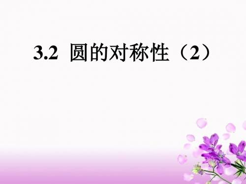 3.2 圆的对称性(2)