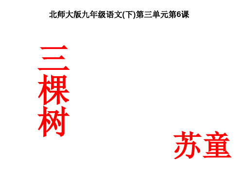 学年度北师大版九年级语文(下)第三单元第6课《三棵树》课件(41张PPT