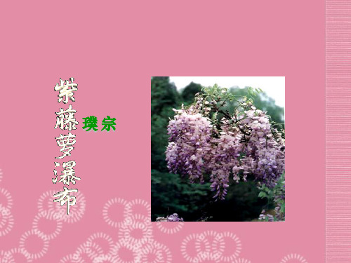 七年级语文下册《紫藤萝瀑布》课件 新人教版