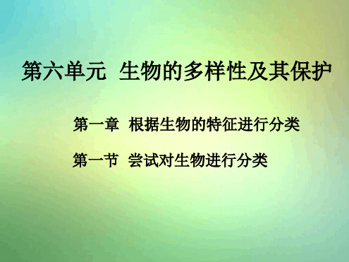 人教版八年级上册第一节尝试对生物进行分类2