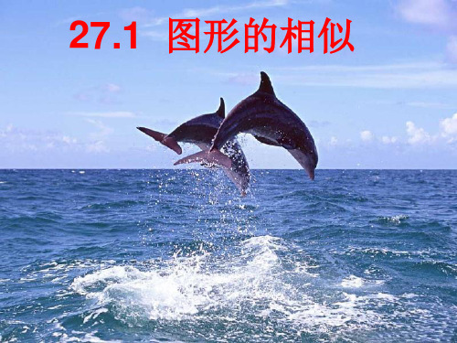 27.1_图形的相似第一课时