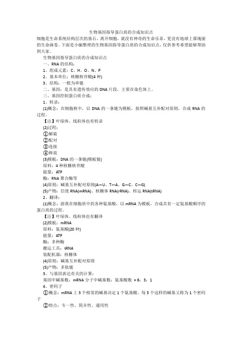 生物基因指导蛋白质的合成知识点