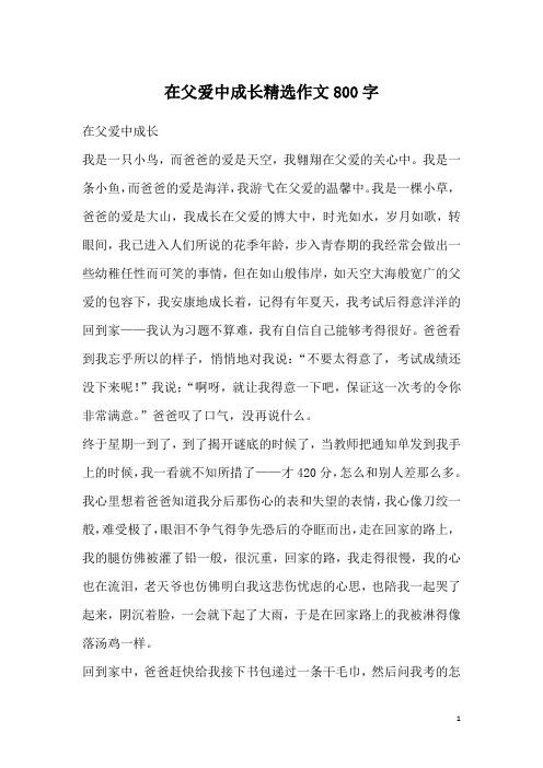 在父爱中成长精选作文800字