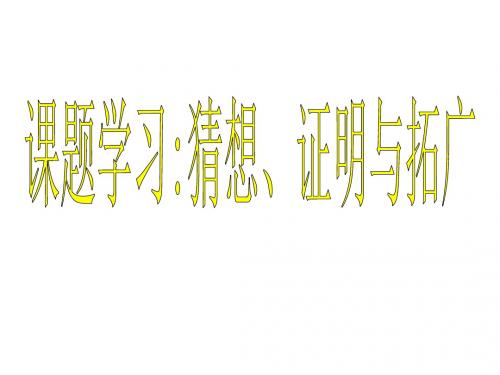 猜想、证明与拓广