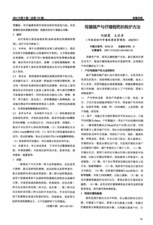 母猪接产与仔猪假死的救护方法
