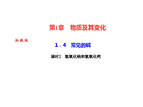 2021年秋浙教版九年级科学上册习题课件：1.4 常见的碱课时2 氢氧化钠和氢氧化钙 (共24张PP