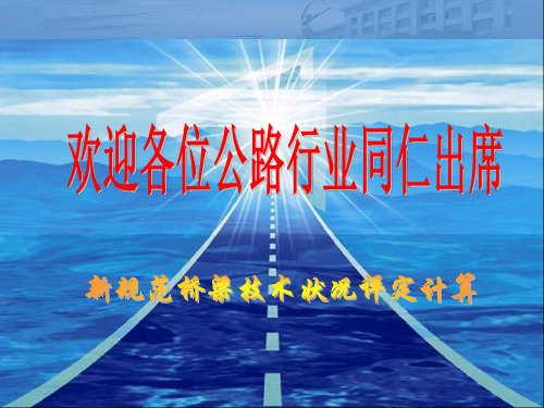 桥梁技术评定计算潘老师资料