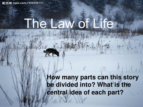 杰克伦敦小说_the_law_of_life_的分段_presentation