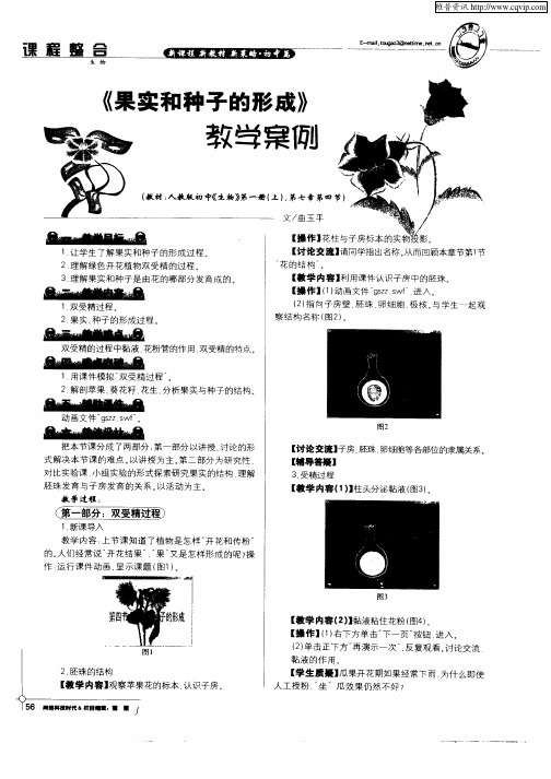 《果实和种子的形成》教学案例