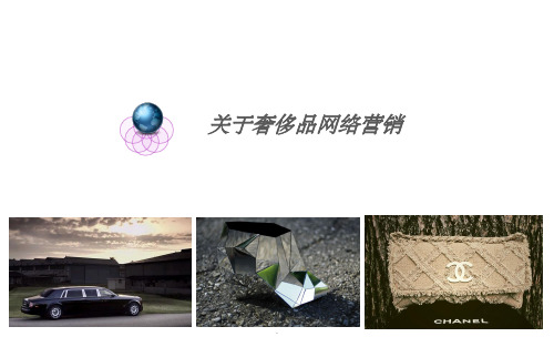国际营销--关于奢侈品网络营销ppt课件