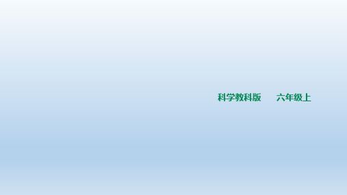 六年级上册科学《建高塔》教科版