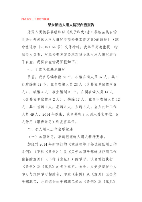 2020年最新某乡镇选人用人情况自查报告.docx