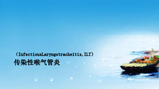 课件：传染性喉气管炎