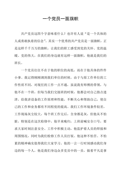 一个党员一面旗帜