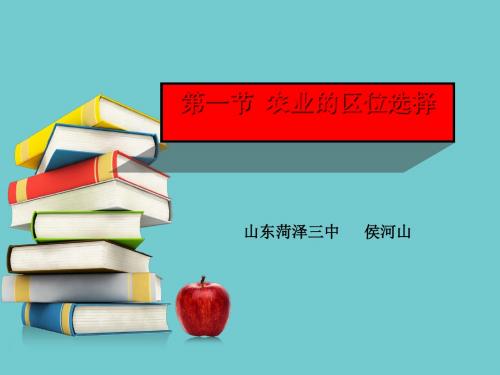 农业的区位选择ppt21 湘教版