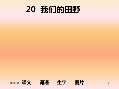 我们的田野PPT课件