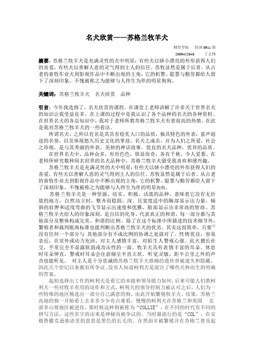 名犬欣赏