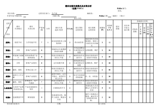 潜在过程失效模式及后果分析PFEMA(模板)