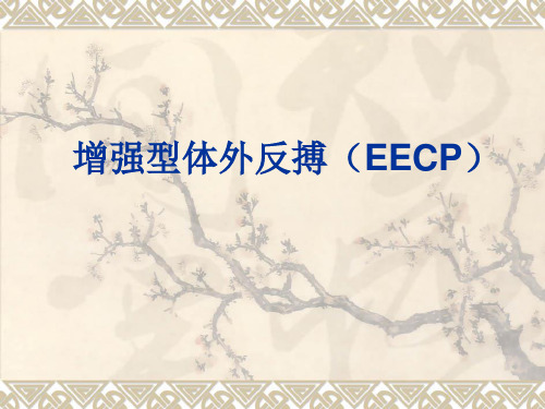 增强型体外反搏精品PPT课件