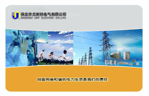 保定尤耐特中高压固态软起动装置