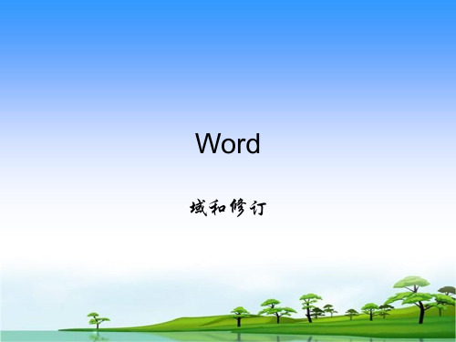 Word (大学计算机基础)