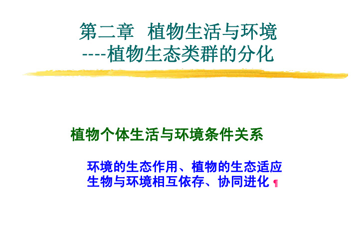 植物课件  第二章