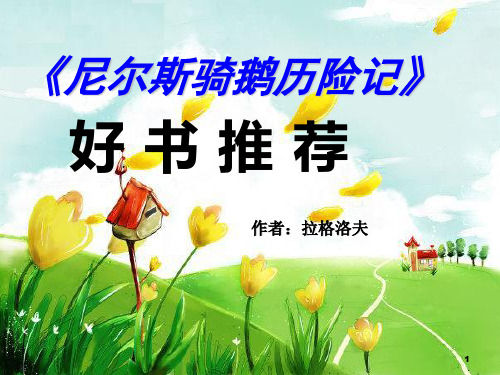 名著解读1：《(尼尔斯骑鹅历险记》)ppt课件