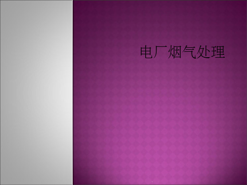 电厂烟气处理ppt课件
