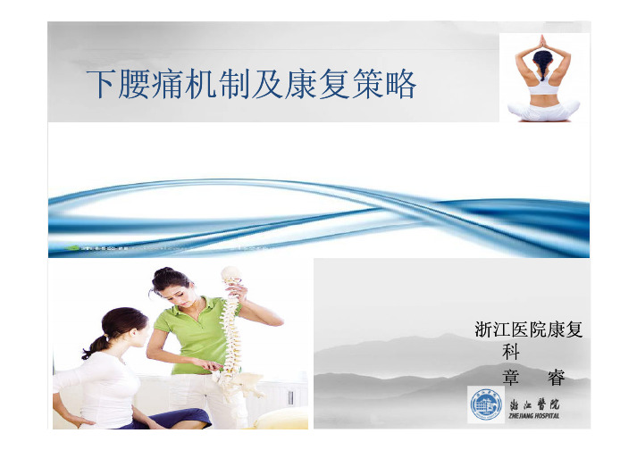 下腰痛机制及康复策略