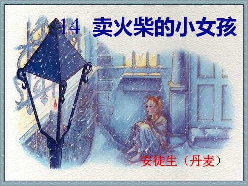 语文人教版六年级下册14 卖火柴的小女孩