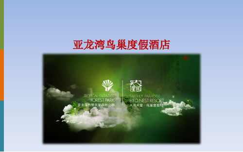 三亚-亚龙湾鸟巢度假酒店