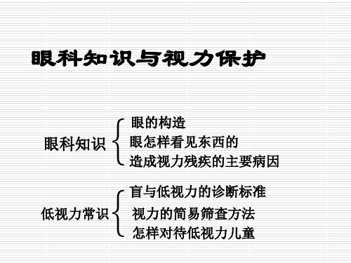 眼科知识与低视力常识 PPT