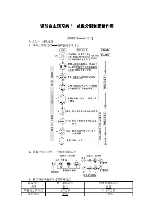 2020版高考生物全程复习方略·生物  减数分裂和受精作用