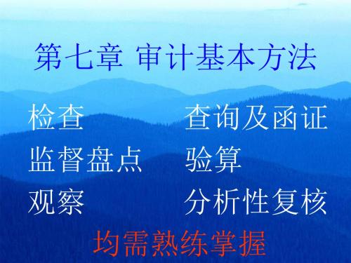 审计基本方法(PPT 41页)