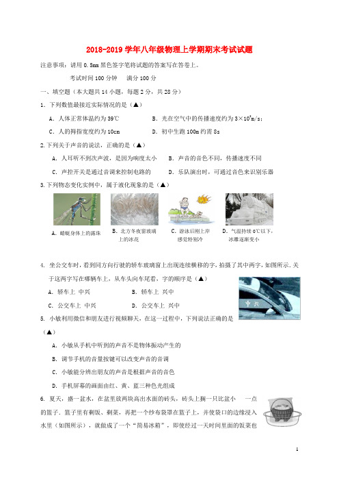 江苏省无锡市惠山区2018_2019学年八年级物理上学期期末考试试题(含参考答案)