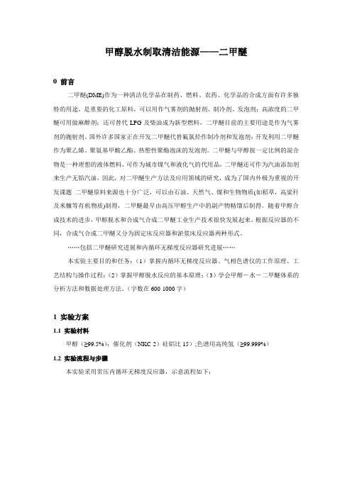二甲醚专业实验报告1