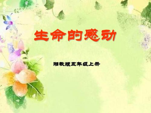 湘教版语文五上《生命的感动》PPT教学课件