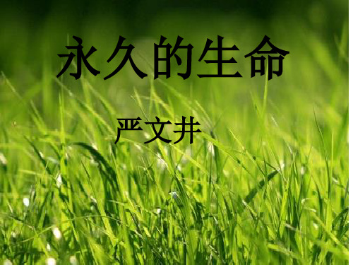 永久的生命优秀课件