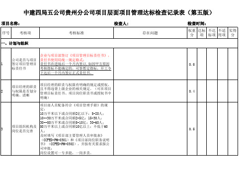 中建项目达标检查表(最新)