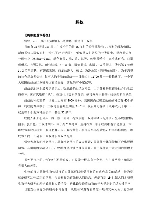 蚂蚁知识