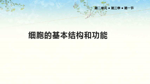 北师大版七年级生物上册3.1《细胞的基本结构和功能》课件
