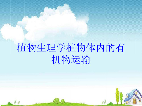 植物生理学植物体内的有机物运输培训课件