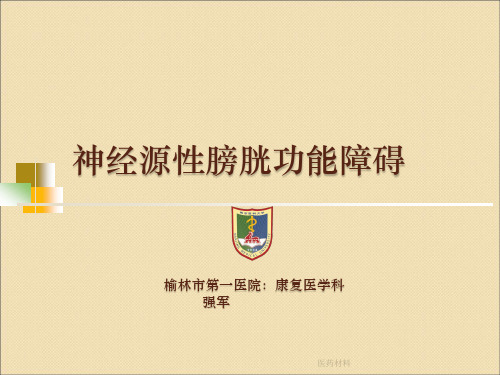神经源性膀胱(医学研究)
