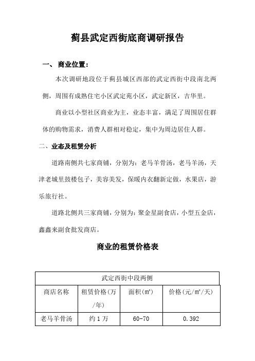 武定西街专业调研报告