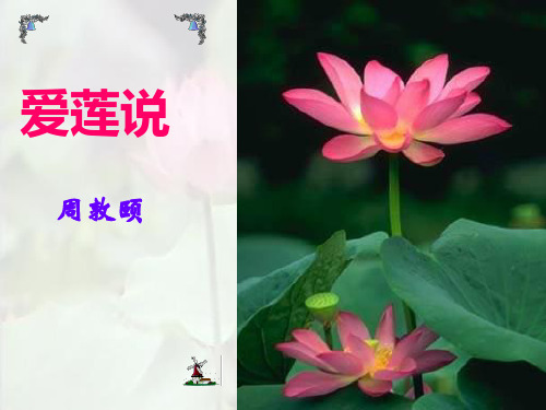 部编优质课一等奖初中语文七年级下册《爱莲说》 (1)