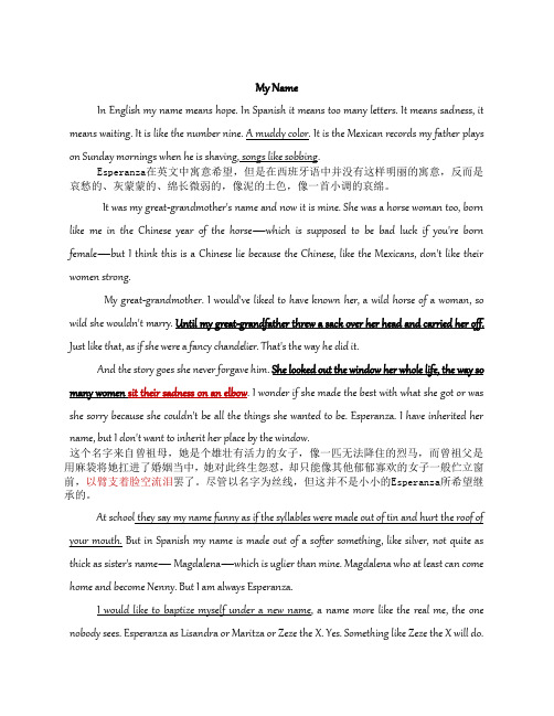The House On The Mango Street 英文原文《芒果街上的小屋》第四五节简析