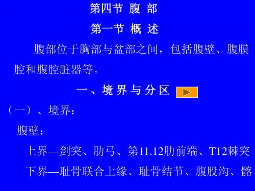 局部解剖 腹部