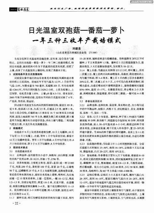 日光温室双孢菇-番茄-萝卜一年三种三收丰产栽培模式